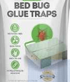 How To Use Glue Traps For Bed Bugs