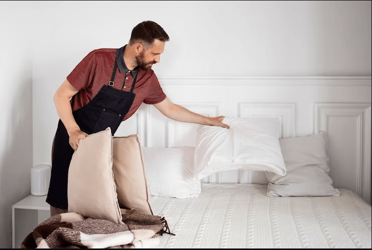 How To Check And Get Rid Of Bed Bugs In Couch