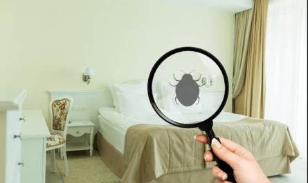 Where To.Sleep If You Have Bed Bugs